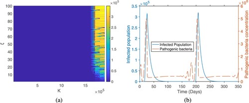 Figure 3. Microscopic cycles in the reservoir drives the macroscopic cycles in human population. (a) Sensitivity of the out break peak to K and ξ. K varies from 100 to and ξ varies from 1 to 100. (b) Time course dynamics of the infected population and pathogenic phage level in the reservoir.