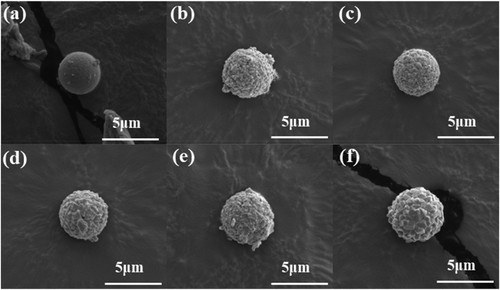 Figure 6. Reliability test (temperature 85°C and humidity 85%) of conductive copper balls without corrosive coating: (a) 0 h, (b) 12 h, (c) 24 h, (d) 48 h, (e) 72 h, and (f) 96 h.
