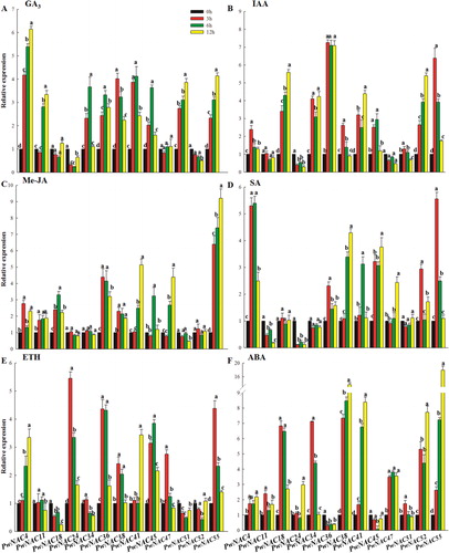Figure 8. Expression profiles of 13 NAC genes under phytohormone treatments.