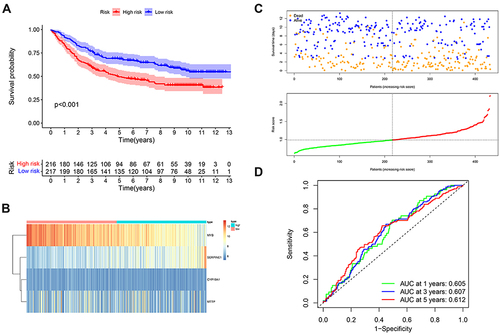 Figure 3 Verification of lipid metabolism-related gene signature in an independent cohort. (A) Kaplan–Meier curves of GC patients in the low - and high -risk groups based on the 4 lipid metabolism-related genes in an GSE84437 cohort. (B) Heatmap of the 4 lipid metabolism-related genes expression pattern in GSE84437 cohort. (C) Risk score distribution and survival status of GC patients based on the 4 lipid metabolism-related genes. (D) ROC curves to evaluate 1, 3, and 5-year prediction efficiency of the 4 lipid metabolism-related signature in GSE84437 cohort.