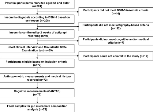 Figure 1 Flowchart of the study design.