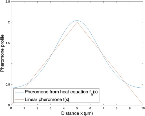 Figure 4. Pheromone profile generated from a heat equation fh(x) and a similar linear pheromone profile f(x).