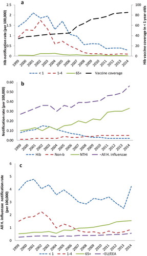 Figure 1. Notification rates for invasive H. influenzae disease in the EU/EEA, 1999–2014. (a) Age distribution of Hib invasive disease and vaccine coverage, (b) serotype distribution, (c) Age distribution of all H. influenzae invasive disease.Hib = Haemophilus influenzae type b; NTHi = non-typeable Haemophilus influenzae. Graphs constructed from surveillance data from EU Invasive Bacterial Infections Surveillance Network (EU-IBIS) and the European Surveillance System (TESSy) database from 1999 to 2014 [Citation32].