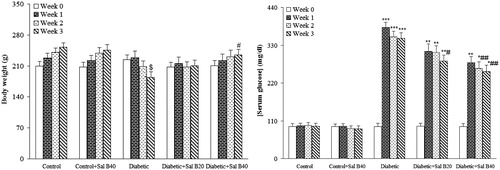 Figure 1. Body weight and serum glucose level at different weeks. Sal B20 and Sal B40 indicate salvianolic acid B at doses of 20 and 40 mg/kg, respectively (n = 10–11 for each group). $p < 0.05 (versus week 0), *p < 0.005, **p < 0.001, ***p < 0.0005 (versus week 0), #p < 0.05, ##p < 0.01 (versus diabetic in the same week).