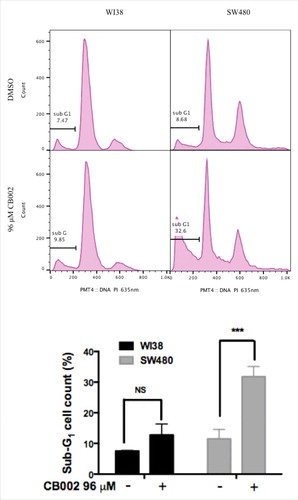 Figure 4. CB002 treatment of 48 hrs increases apoptotic cells as indicated by the sub-G1 content in SW480 cancer cells but not in normal WI38 cells. Two-way ANOVA statistical analysis, p ≤ 0.001 against DMSO vehicle control. Three replicates were performed, and a representative histogram is shown.