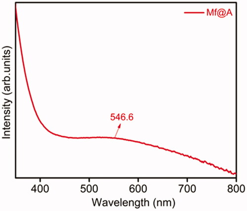 Figure 7. UV–vis spectra of SPR peak of Mf@A at 546.6 nm. Mf@A: MnFe2O4@Au nanoparticles; SPR: surface plasmon resonance; UV–Vis: ultraviolet–visible.