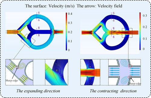 Figure 3. Velocity vector on x-y plane of double-loop tube.