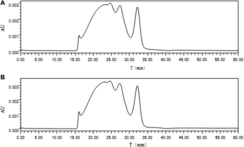 Figure 3. HPLC before and after lyophilization (n = 5). A: HPLC before lyophilization;B: HPLC after lyophilization.