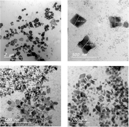 Figure 1. Transmission electron microscopy (TEM) images of etodolac cubosomes nanoparticles: a and b for F3 and c and d for F4.