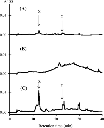 Fig. 1. Typical profiles of reversed-phase HPLC of model Maillard solutions of cysteine and glucose (A), lysine and glucose (B) and cysteine, lysine, and glucose (C).