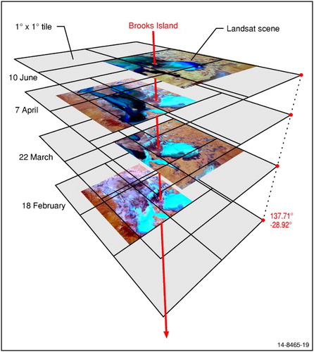 Figure 1. Landsat scenes compared with the 1° × 1° data tiles employed in the EO Data Cube. The Landsat scenes capture Brooks Island in Lake Eyre in 2009. The spatial footprint of Landsat scenes changes over time, while the data tiles maintain a constant footprint.