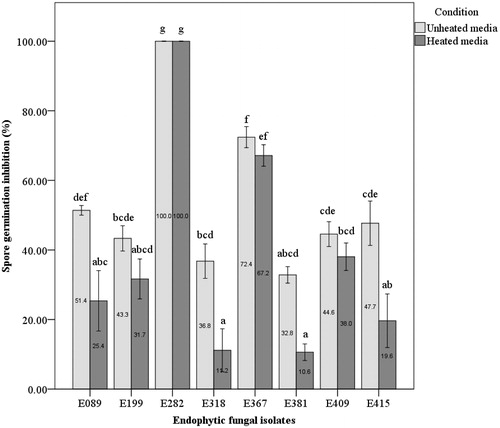 Figure 5. Spore germination inhibition rate (SGI %) of endophytic fungal isolates against R. quercus-mongolicae in culture filtrate test at 3 days after inoculation in the dark at 25 °C. Different letters indicate a significant difference (p < 0.05) among treatments by Tukey’s HSD test.