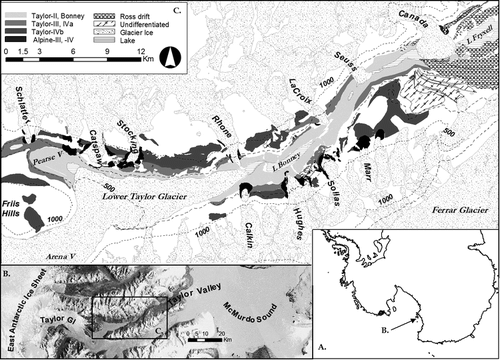 FIGURE 1 Generalized distribution of glacial deposits in Taylor Valley (compiled from CitationWilch et al., 1993; CitationHall and Denton, 2000b; CitationHiggins et al., 2000a, Citation2000b; and unpublished data of Prentice and Bockheim). Colluvial, lacustrine, eolian, Alpine II, and Alpine I deposits are not shown. Blank patches are either the latter, bedrock, or snow.