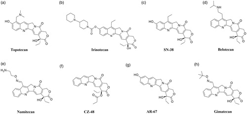 Figure 4. Chemical structures of camptothecins.