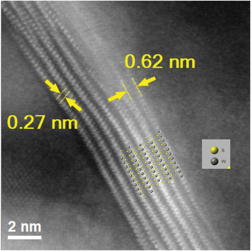 Figure 9. HAADF STEM image revealing the atomic structure of a dichalcogenide strand, with UVW [110] R3m:H model structure overlayed (COD 9012102).