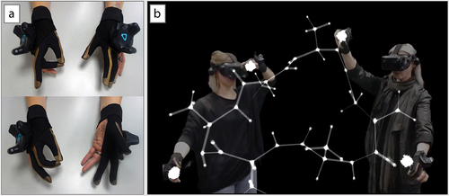 Figure 2. VR Gloves and their application [Citation54]. (A) Pinch sensing gloves. The tracker is placed on top of the glove and the interaction occurs through a pinching motion between either the thumb and index finger, or thumb and middle finger. (B) Two users in VR interacting with a real-time MD simulation of a polyalanine peptide. A pinching motion allows the users to grab an atom and interactively maneuver the protein around the VR environment. Image reproduced from [Citation54] licensed under CC BY-SA.
