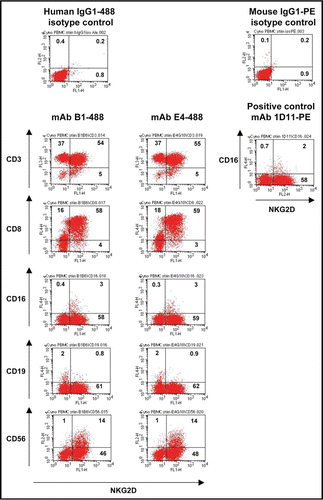 Figure 4 Binding activity of mAbs E4 and B1 to macaque PBMC subpopulations by flow cytometry. Stimulated PBMC from M. fascicularis were stained with PerCP-, APC-, PE- or Alexa 647 coupled mouse anti-human CD3 (BD), CD19 (Beckman Coulter), CD8 (eBioscience) and CD56 (BD) mAbs cross-reacting to cynomolgus monkey (y axes) and with mAb B1-488 or mAb E4-488 (x axes). Human IgG1-488 was used as negative control and PE-coupled mouse anti-human NKG2D mAb 1D11 was used as positive control. Numbers indicate percent of cells gated.