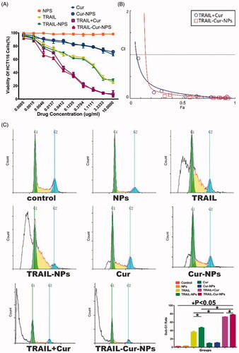 Figure 2. In vitro cytotoxicity and apoptosis. (A) In vitro cytotoxicity evaluation of different groups toward HCT 116 cells for 24 h. (B) Combination index curves of TRAIL-Cur-NPs and free TRAIL + Cur. (C) Flow cytometric analysis of apoptosis on HCT 116 cells using PI staining.