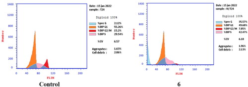 Figure 7. Effect of compound 6 (5.68 μM) on DNA-ploidy flow cytometric analysis of T-24 cells after 24 h.