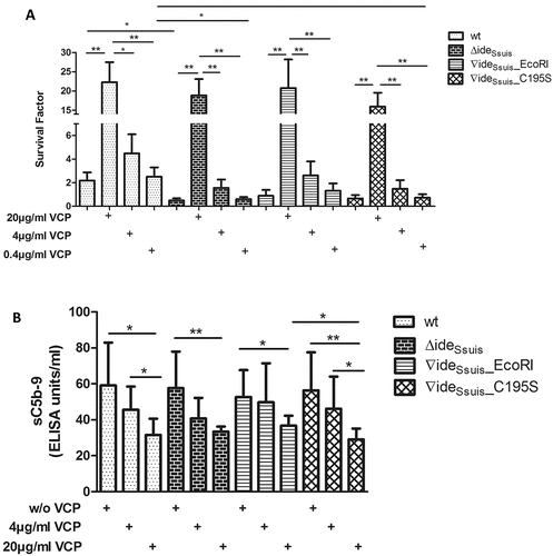 Figure 7. Survival of S. suis serotype 2 in porcine blood is restricted by active complement. (a) Survival of S. suis strain 10 (wt), 10∆ideSsuis (∆ideSsuis) and the two complemented strains 10∆ideSsuis∇ideSsuis_EcoRI (∇ideSsuis_EcoRI) and 10∆ideSsuis∇ideSsuis_C195S (∇ideSsuis_C195S) was analyzed in a whole blood survival assay with the addition of the complement inhibitor vaccinia virus complement control protein (VCP). Porcine whole blood from growing piglets (n = 6) with high anti-S. suis IgM titers was pre-incubated with 0.4, 4, 20 µg VCP/ml for five minutes at 37°C. 4 × 106 CFU/ml of the indicated S. suis strains were then added and the survival factor determined by plate counting after two hours at 37°C. (b) Soluble C5b-9 was determined in porcine plasma after the blood survival assay by sC5b-9 ELISA. A concentration dependent reduction in sC5b-9 levels was detectable after addition of VCP to porcine whole blood (Pearson r values: wt: −0,9487; 10∆ideSsuis: −0,8485; 10∆ideSsuis∇ideSsuis_EcoRI: −0,9999; 10∆ideSsuis∇ideSsuis_C195S: 0,9821). Bars and error bars indicate mean and standard deviation. Significant differences are indicated by asterisks. Probabilities were considered as follows p < 0.05 *, p < 0.01 **, p < 0.001 ***.