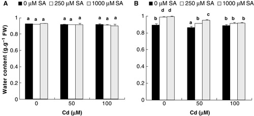 Figure 2. The effects of 8-h pretreatment with SA on WC in stems (A) and leaves (B) of flax plantlets after 10 days of exposure to Cd stress. Values are the means of five replicates experiments ± SE. Bars with different letters are statistically different at (P ≤ 0.05).