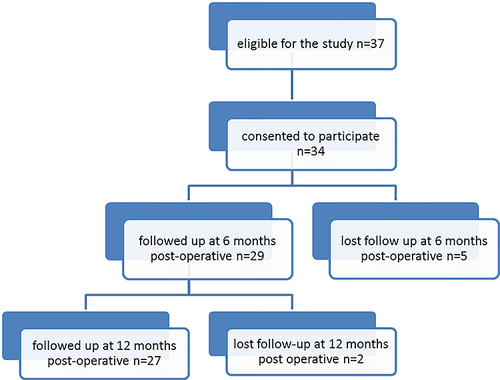 Figure 1 A flow chart of the participants throughout the whole study duration.