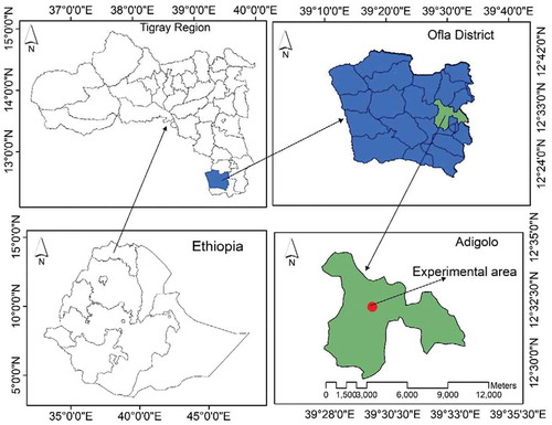 Figure 1. Location of the experimental area within Ethiopia.