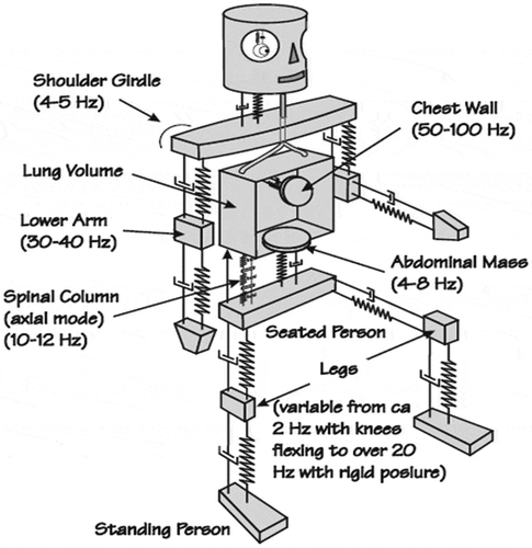 Figure 1. Simplified mechanical system representing a body subjected to vibration (Rasmussen, Citation2009).