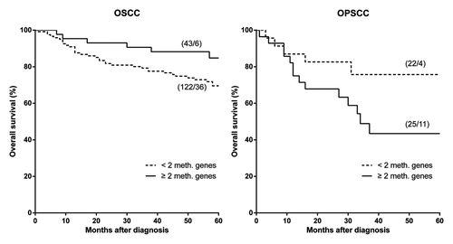 Figure 3. Promoter hypermethylation and overall survival in patients with early OSCC and OPSCC. ≥ 2 hypermethylated genes is an effect modifier in oral and oropharyngeal SCC, P = 0.012. Log Rank test: OSCC (P = 0.054); OPSCC (P = 0.080). *(patients/events): OSCC < 2 meth. genes 36 events in 122 patients; ≥ 2 meth. genes 6 events in 43 patients; OPSCC < 2 meth. genes 4 events in 22 patients; ≥ 2 meth. genes 11 events in 25 patients. One OSCC patient out of analysis due to missing data.
