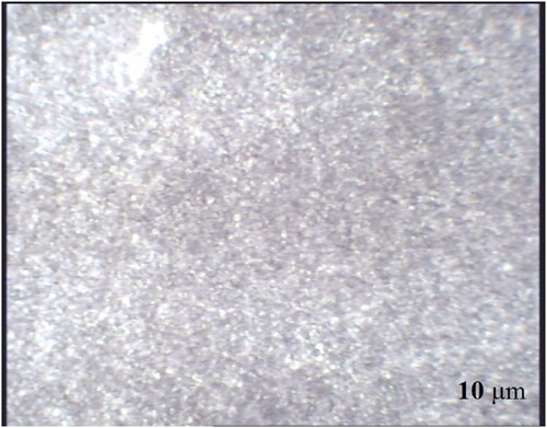 Figure 1. Microstructure of untreated AISI 1045 at a magnification of 200×.