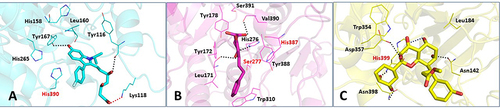 Figure 8 Binding interactions of parasitic PAF-AH proteins with their respective inhibitor molecules. Binding interactions of: (A) Leishmania donovani PAF-AH with D1; (B) Trypanosoma cruzi PAF-AH with C1; (C) Trypanosoma brucei PAF-AH with B1. Catalytic residues are shown in red. Hydrogen bonds are shown as black dotted lines, and ionic bonds are shown as red dotted lines.