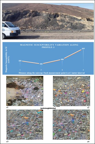 Figure 7. Variation of magnetic susceptibility along profile-3. A photograph of this profile is also given on top; microphotographs in crossed nicols of vesicular alkali olivine basalt are noted as c1–c4. Symbols as Figure 5; Ca = Calcite, Ze = Zeolite and Ne = Nephline.