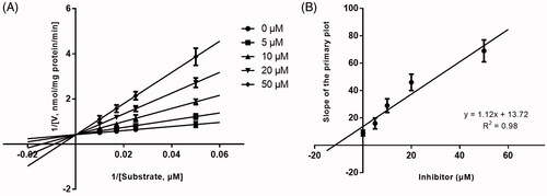 Figure 3. Lineweaver-Burk plots (A) and the secondary plot for Ki (B) of inhibition of KF (0–50 μM) on CYP1A2 catalyzed reactions (phenacetin O-deethylation) in pooled HLM. Data are obtained from a 30 min incubation with phenacetin (20–100 μM) in the absence or presence of KF (0–50 μM). The data represent the mean of the incubations (performed in triplicate).