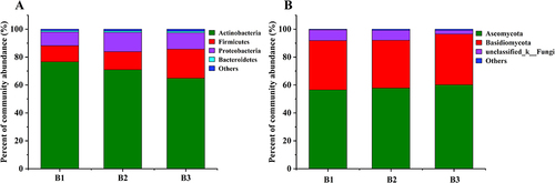 Figure 4 Differences in the relative abundances of skin bacteria and fungi at the phylum level in three groups. (A) Bacterial abundance; (B) Fungal abundance.
