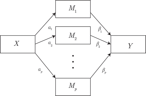 Figure 2 Exploratory mediation analysis with a set of p potential mediators M. For clarity, we omitted the P(P+1)/2 parameters belonging to the residuals of M and their covariances, as well as the residual variance of Y.