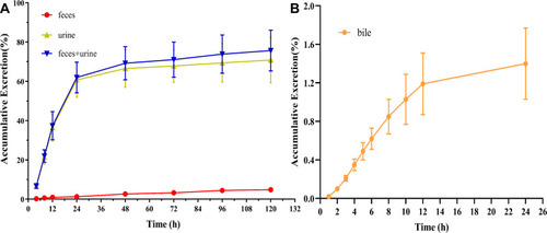 Figure 5 Cumulative excretion after subcutaneous administration of 125I-INS061 in rats. (A) urine and feces. (B) bile.