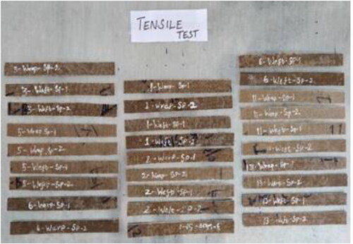 Figure 4. Tensile samples.
