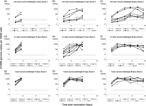 Figure 1.  Kinetics of CVI988 replication in feather tips of individual birds prior to challenge. The level of CVI988 vaccine virus per 10 000 feather tip cells (logarithmic scale) following vaccination is shown for each individual bird. Birds are grouped according to the dose of vaccine received and the time of challenge. Black lines (with either closed or open symbols), birds that survived until termination of the experiment (81 d.p.v.) with no clinical signs or macroscopic MD lesions; grey lines with closed symbols, birds that died with symptoms and lesions of MD; grey lines with open symbols, birds that died in the absence of MD symptoms and lesions. The baseline for accurate measurement was 5 CVI988 genomes/10 000 cells (dashed horizontal line), and values below this baseline are considered negative.