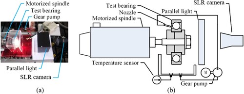 Figure 4. Visual experimental device for bearing lubrication flow field (a) Physical experimental device diagram (b) Schematic diagram of the experimental device.