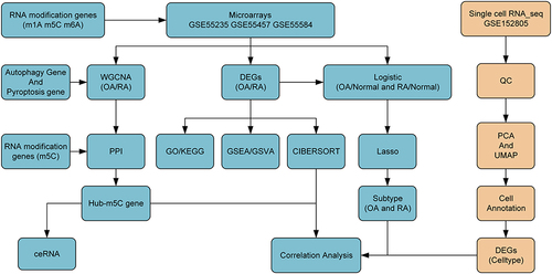 Figure 1 Flowchart of bioinformatic analysis process of the study.