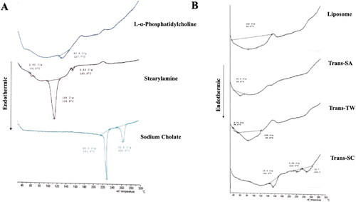 Figure 4. Thermogram profiles (A) l-α-phosphatidylcholine, stearylamine, and sodium cholate constituting the transfersome components, and (B) liposome and transfersome-loading AMSC-MP prepared with different types of surfactants i.e., stearylamine (Trans-SA), Tween 80 (Trans-TW), and sodium cholate (Trans-SC).
