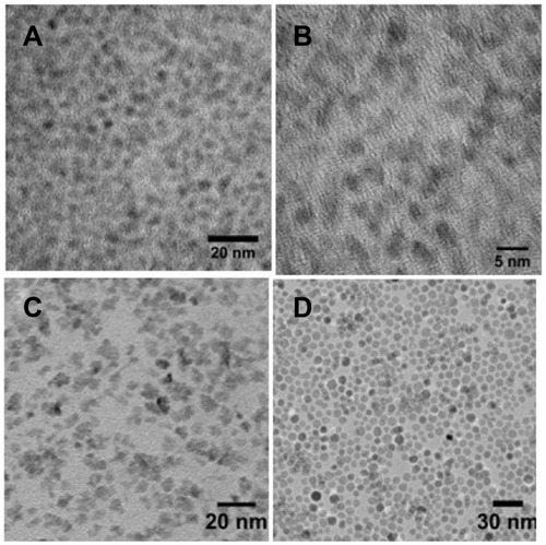 Figure 2 TEM micrographs of synthesized AgInS2/ZnS (A), CuInS2/ZnS (B) QDs and SPIO NPs synthesized in aqueous solution (C), oleylamine (D).