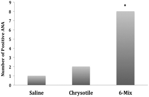 Figure 1. Amphibole asbestos increased the frequency of positive ANA tests. The presence of positive ANA tests was evaluated by indirect immunofluorescence on commercially-prepared slides. One mouse of seven (14.1%) exposed to saline was determined to be ANA+; two mice exposed to chrysotile were ANA+ (20%); eight mice exposed to 6-Mix were ANA+ (72.7%). n = 7–11. *Value significantly different compared to saline value using a chi-squared test (p < 0.05).