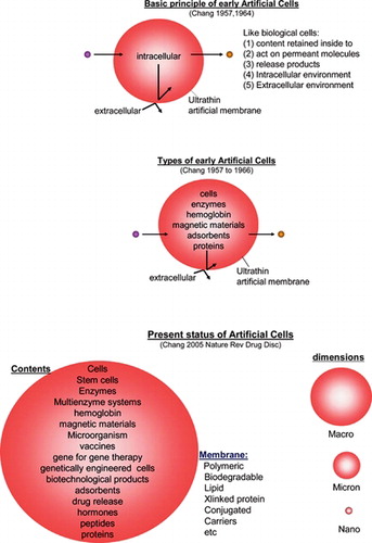 Figure 2 Upper: Basic principle of early artificial cells. Middle: Different types of early artificial cells based on this basic principle. Lower: Present status of artificial cells with wide variations in contents, membrane material and dimensions From [Citation[5]] with copyright permission.