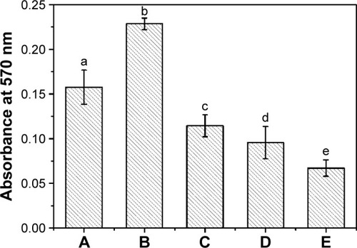 Figure 4 BSA adsorption.Notes: (A) Pristine PDMS, (B) p (DMAEMA+), (C) p (DMAEMA+-co-0.10 MPC), (D) p (DMAEMA+-co-0.25 MPC), and (E) p (DMAEMA+-co-0.50 MPC)-modified PDMS. The statistical significance is indicated by different letters (P<0.05).Abbreviations: BSA, bovine serum albumin; PDMS, poly(dimethyl siloxane); p (DMAEMA+-co-MPC), (2-(dimethylamino)-ethyl methacrylate-co-2-methacryloy-loxyethyl phosphorylcholine); MPC, 2-methacryloyloxyethyl phosphorylcholine; DMAEMA, 2-(dimethylamino)-ethyl methacrylate.