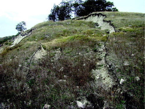 Figure 5. Normal faults at the head of the earth flow. Linework connects points along the top of the scarp. Height of the prominent scarp at the upper right is about 2 m.