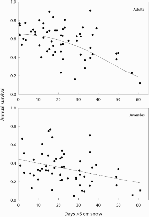 Figure 6. Survival of adult and juvenile Barn Owls Tyto alba in Switzerland, estimated from large-scale recapture/recovery data, in relation to the severity of winter weather. The two most extreme winters led to population crashes and are indicated with square symbols. Redrawn from Altwegg et al (Citation2006).