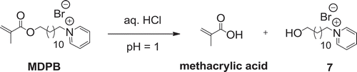Scheme 4. Hydrolytic degradation reaction of MDPB in acidic condition.
