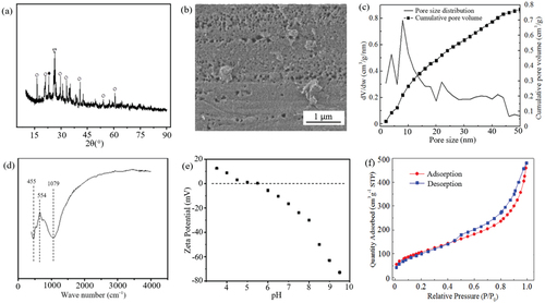 Figure 1. Characteristics of biochar for (a)XRD patterns, (b) SEM images, (c) pore size analysis, (d) FTIR spectra (e) Zeta potential of the surface, and (f) nitrogen adsorption/desorption isotherms.