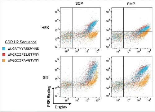 Figure 4. VH6 family CDRH2 mutations. One example VH6 clone was mutated by replacing CDRH2 with 2 different full H2 sequences from the VH1 family. PSR binding of the original clone (Blue) was compared against both mutants, VH6.H2.1 (Red) and VH6.H2.2 (Orange).